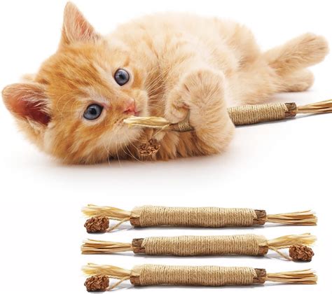 amazon com cat toys|More.